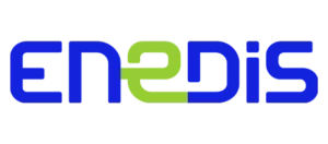 enedis logo