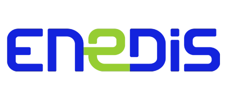 enedis logo